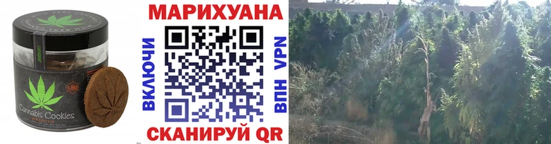 наркота  Камбарка  Еда ТГК конопля 