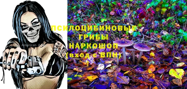 тгк Абинск