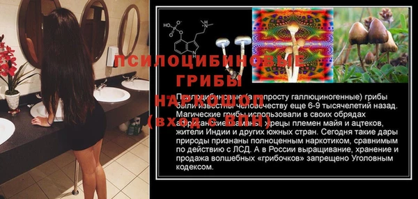 тгк Абинск