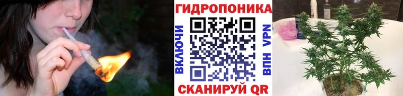 купить закладку  Камбарка  Шишки марихуана LSD WEED 